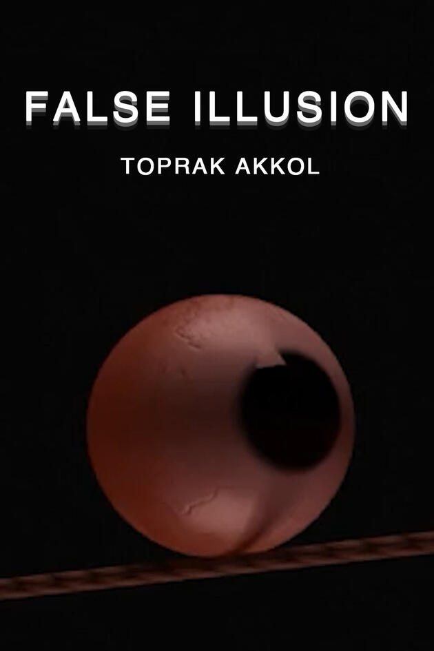 false illusion false illusion